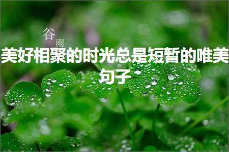 鐝嶆儨闈掓槬鐨勫彞瀛愬敮缇庯紙鏂囨504鏉★級