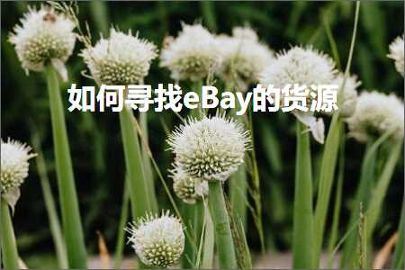 跨境电商知识:如何寻找eBay的货源