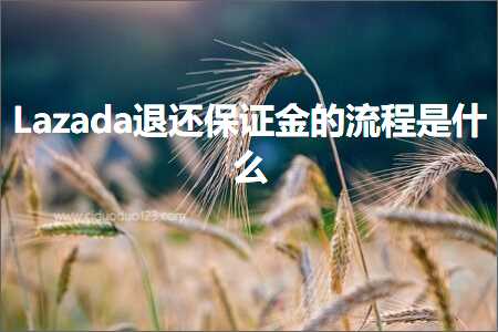 跨境电商知识:Lazada退还保证金的流程是什么