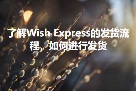 璺ㄥ鐢靛晢鐭ヨ瘑:浜嗚ВWishExpress鐨勫彂璐ф祦绋嬶紝濡備綍杩涜鍙戣揣