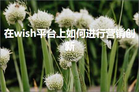 跨境电商知识:在wish平台上如何进行营销创新