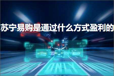 璺ㄥ鐢靛晢鐭ヨ瘑:鑻忓畞鏄撹喘鏄€氳繃浠€涔堟柟寮忕泩鍒╃殑