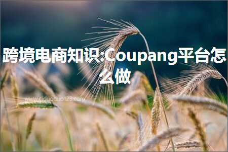 璺ㄥ鐢靛晢鐭ヨ瘑:Coupang骞冲彴鎬庝箞鍋? width=