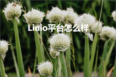 璺ㄥ鐢靛晢鐭ヨ瘑:Linio骞冲彴鎬庝箞鏍? width=