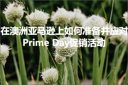 跨境电商知识:在澳洲亚马逊上如何准备并应对PrimeDay促销活动